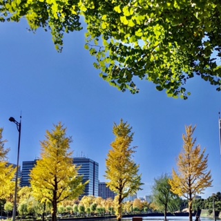 秋の東京